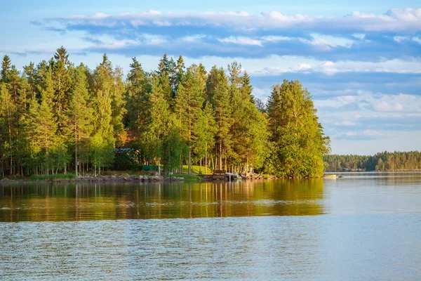 Hutan memantulkan di danau — Stok Foto