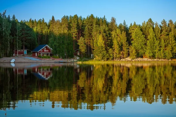Floresta refletindo no lago Imagem De Stock