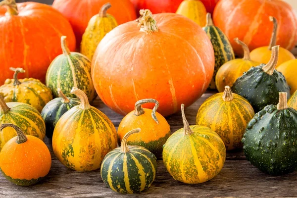 Ripe organic colored pumpkins — Stock Photo, Image