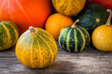 olgun organik renkli kabaklar 