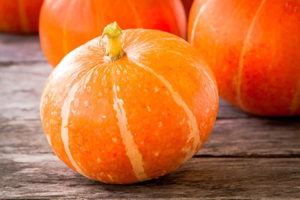 Ripe organic orange pumpkins — Stock Photo, Image