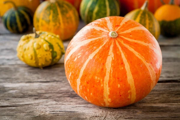 Ripe organic colored pumpkins — Stock Photo, Image