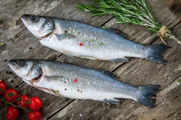 Two raw seabass with  cherry tomatoes and rosemary — Stock Photo, Image