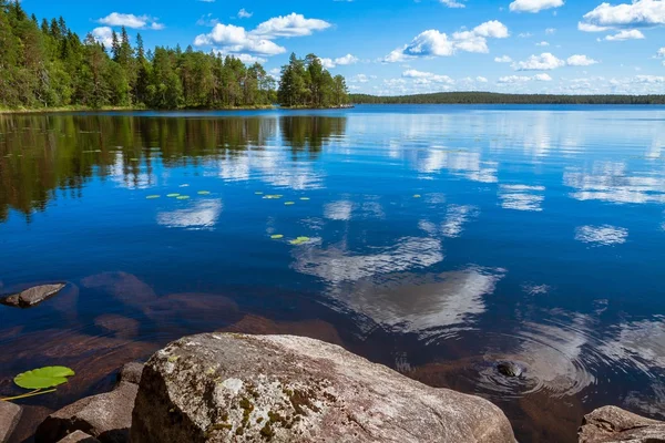 Fenyő erdő tükrözi a tóban — Stock Fotó