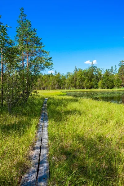 Holzweg zwischen grünem Gras — Stockfoto