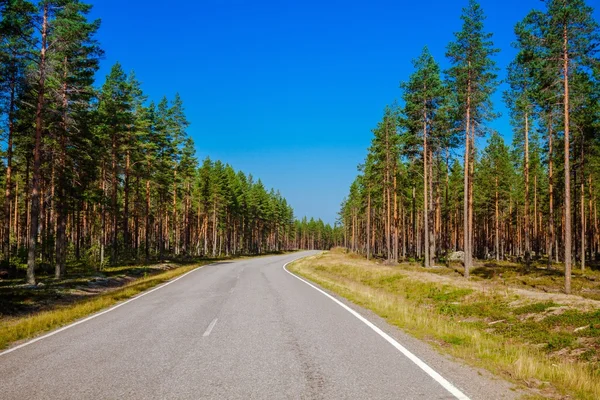 Landweg door het bos — Stockfoto