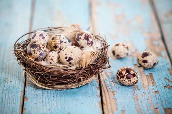 Wachteleier im Nest auf rustikalem Hintergrund — Stockfoto