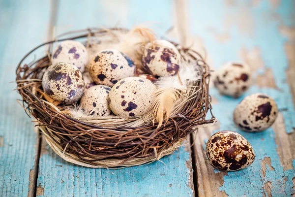 Wachteleier im Nest auf rustikalem Hintergrund — Stockfoto