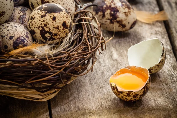 Wachteleier in einem Nest auf dunklem Holzgrund — Stockfoto