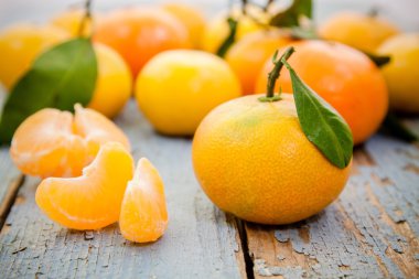 yaprakları ile taze organik mandalina 