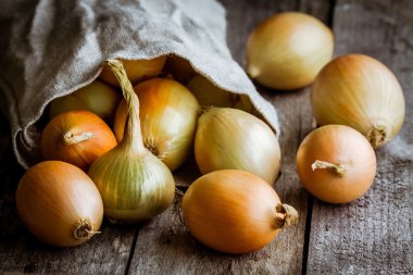 Bir çanta içinde taze organik soğan 