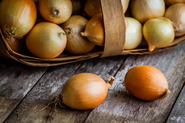 Cebollas orgánicas frescas en una cesta —  Fotos de Stock