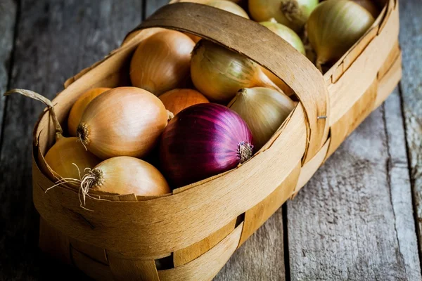 Cebollas orgánicas frescas en una cesta —  Fotos de Stock