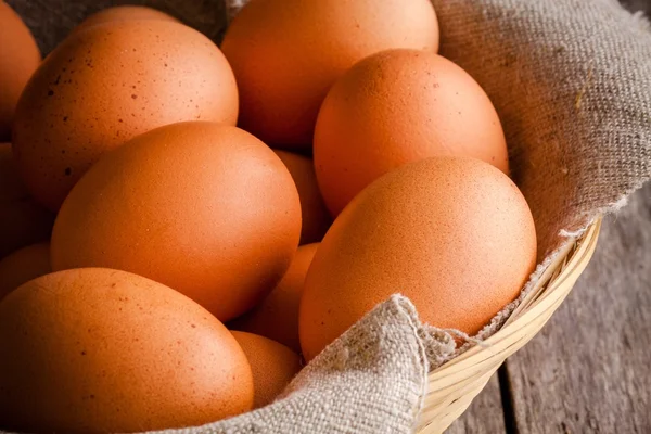 Friss tenyésztett tojás — Stock Fotó