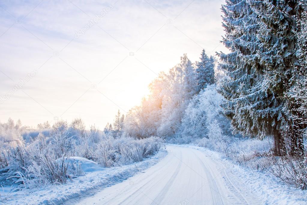 snowy road in the winter forest
