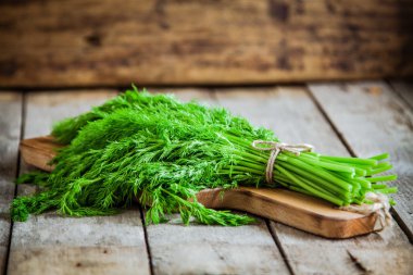 bir kesme tahtası üzerinde taze organik dereotu demet 