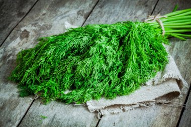 ahşap arka plan üzerinde taze organik dereotu demet