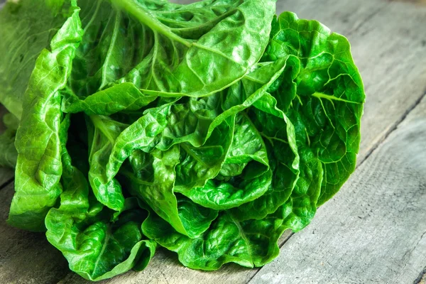 Salada verde orgânica madura Romano closeup — Fotografia de Stock