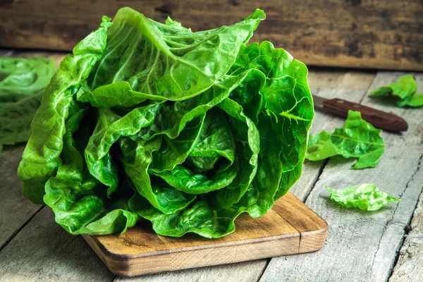 Rijpe biologische groene salade Romano — Stockfoto