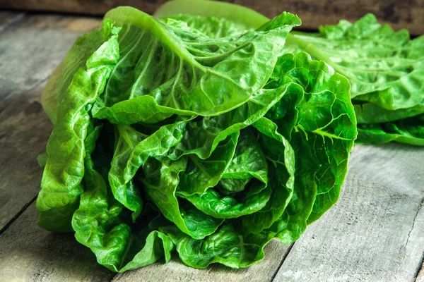 Reifer grüner Bio-Salat romano — Stockfoto