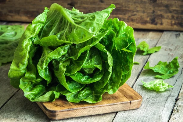 Reifer grüner Bio-Salat romano — Stockfoto