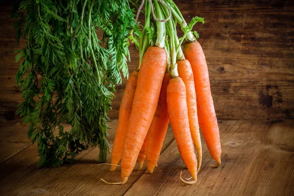 Fresh organic carrots bunch — Stock Photo, Image