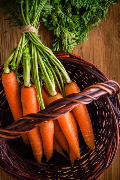 Fresh carrots bunch in the basket — Stock Photo, Image