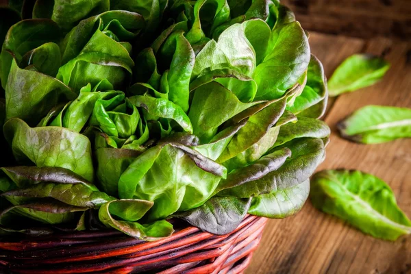 Frischer grüner Bio-Salat im Korb auf Holzgrund — Stockfoto