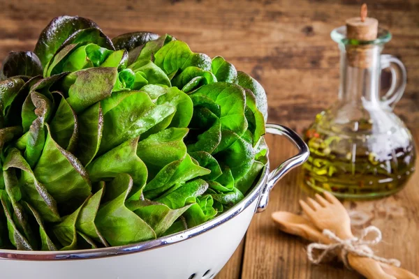 Lunchtime: fresh green salad — Stock Photo, Image