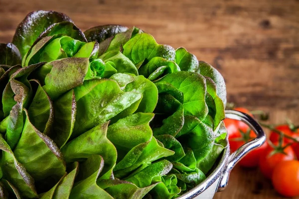 Tuoretta vihreää orgaanista salaattia tomaattien kanssa siivilässä lähikuva — kuvapankkivalokuva