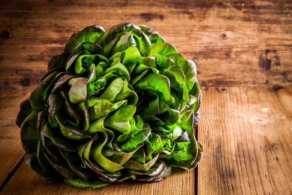 Verse groene biologische sla op een houten achtergrond — Stockfoto