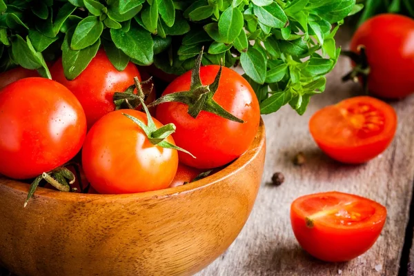 Tomates cherry, albahaca orgánica fresca de cerca —  Fotos de Stock