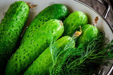 Beyaz kevgir dereotu ile taze organik salatalık