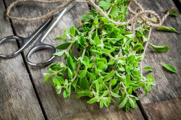 Bunch of raw green herb marjoram with scissors on a wooden table — Stock Photo, Image