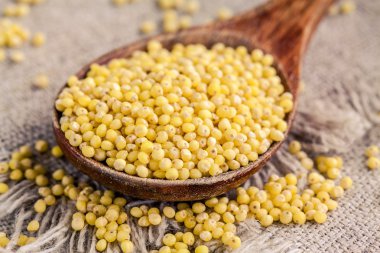 bir kaşık closeup organik darı tohumları