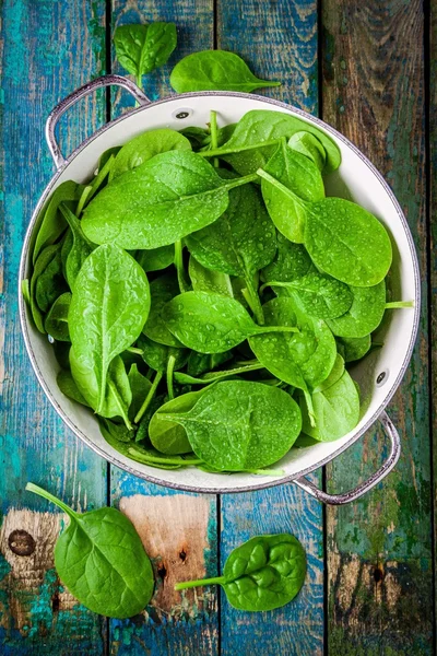 Raw fresh spinach with drops in a colander — Stock Photo, Image