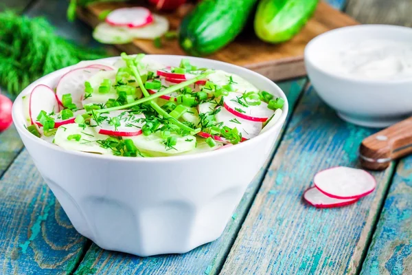 Salada de batata com rabanetes frescos em uma tigela branca com endro e cebola verde — Fotografia de Stock