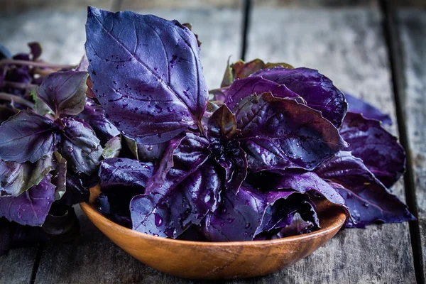 Beam of purple basil in the bowl — Stock Photo, Image