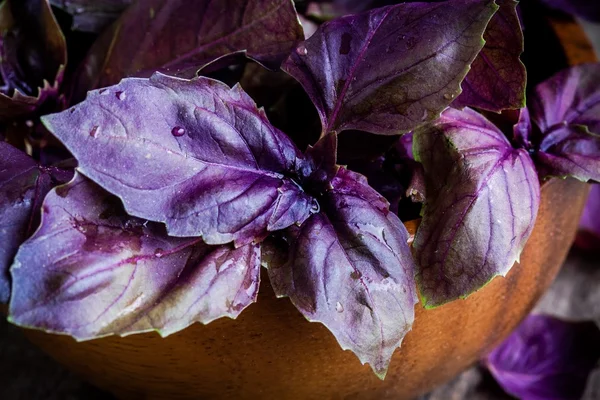 Beam of purple basil in the bowl closeup — Stock Photo, Image