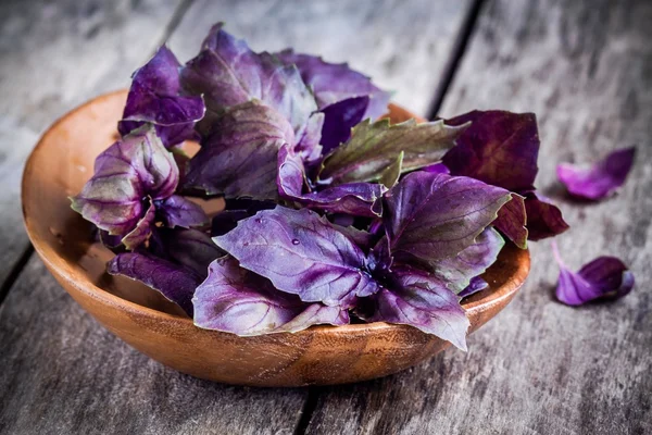 Beam of purple basil in the bowl — Stock Photo, Image