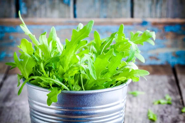 Fresh organic arugula in a bucket — Stock Photo, Image