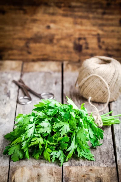 Organic fresh bunch of parsley — Stock Photo, Image