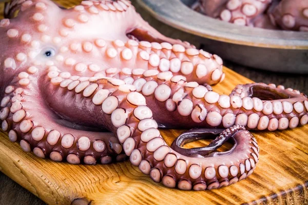 Whole fresh raw octopus  on cutting board closeup — 图库照片
