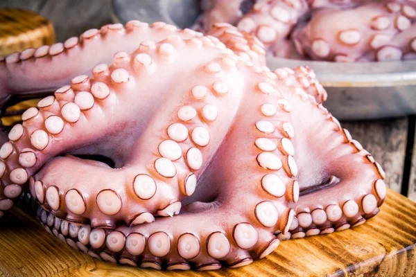 Whole fresh raw octopus  on cutting board closeup — ストック写真