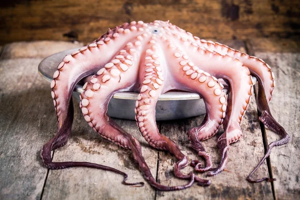 Fresh octopus in the bowl — Stock Photo, Image