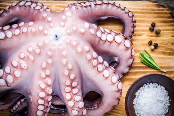 Whole fresh raw octopus with sea salt closeup — ストック写真