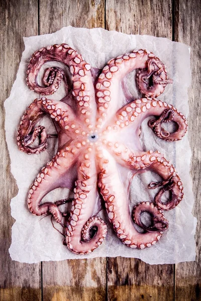 Whole fresh raw octopus on a paper — 图库照片
