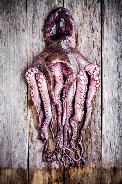 Whole fresh raw octopus on a rustic table — ストック写真