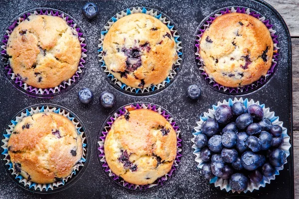 Muffins de mirtilo caseiros com bagas closeup — Fotografia de Stock