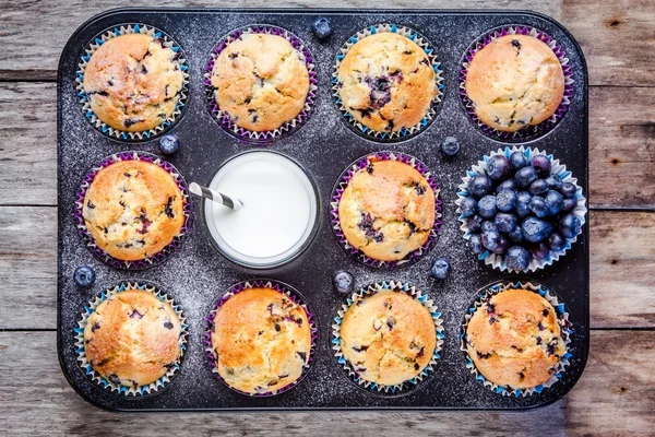 Muffins de mirtilo caseiros com leite e bagas — Fotografia de Stock